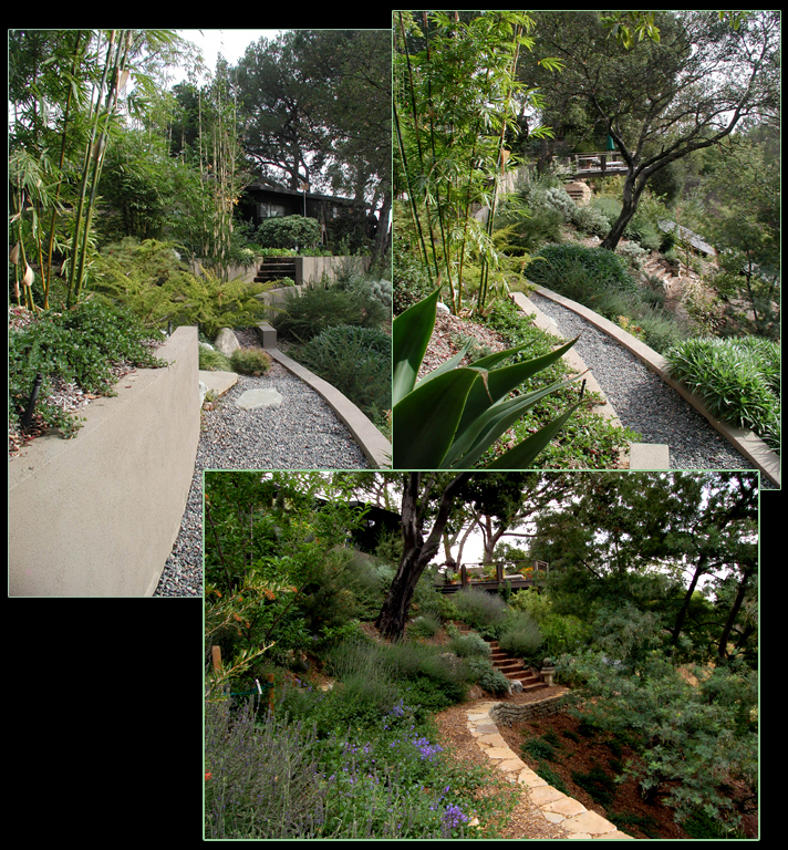 LSSNatureWalkEast