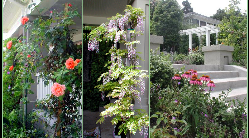 LSSHancockPark2WEB